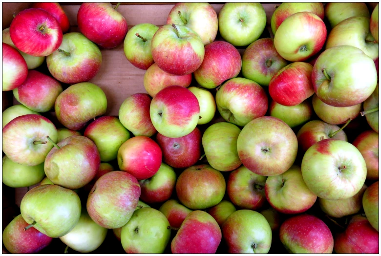 an image of a box full of apples