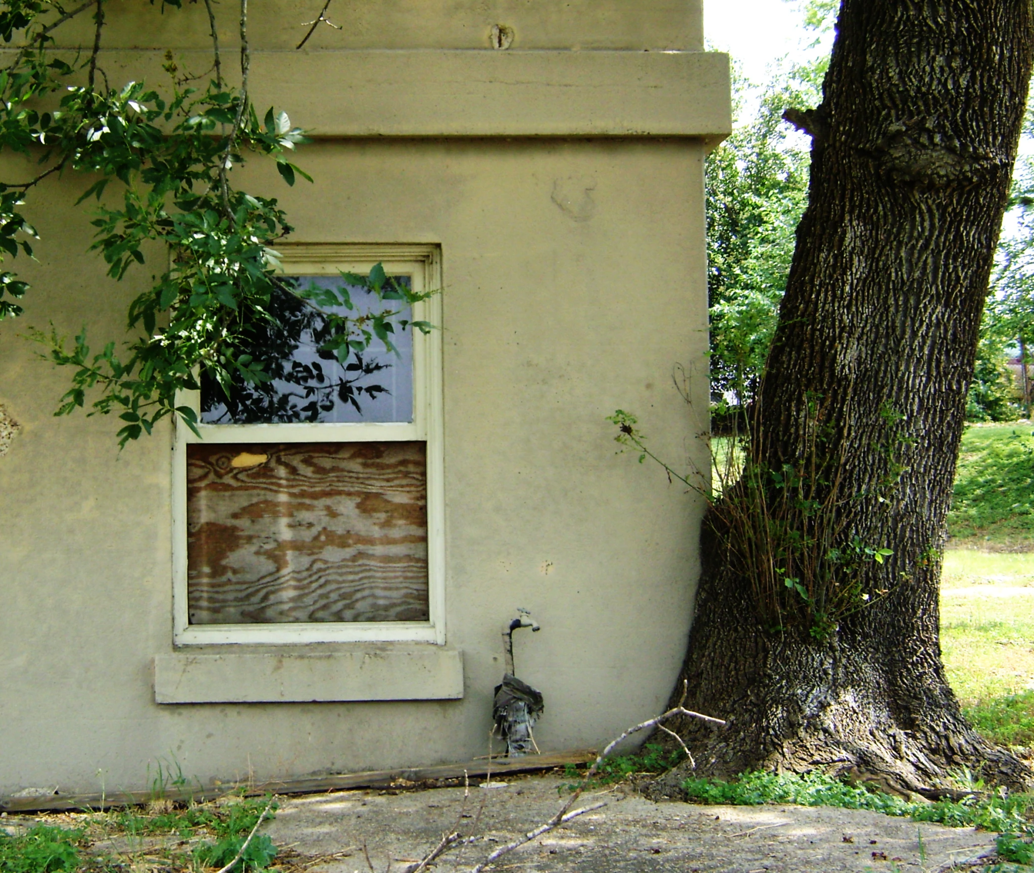 a wooden window in an old house with tree next to it