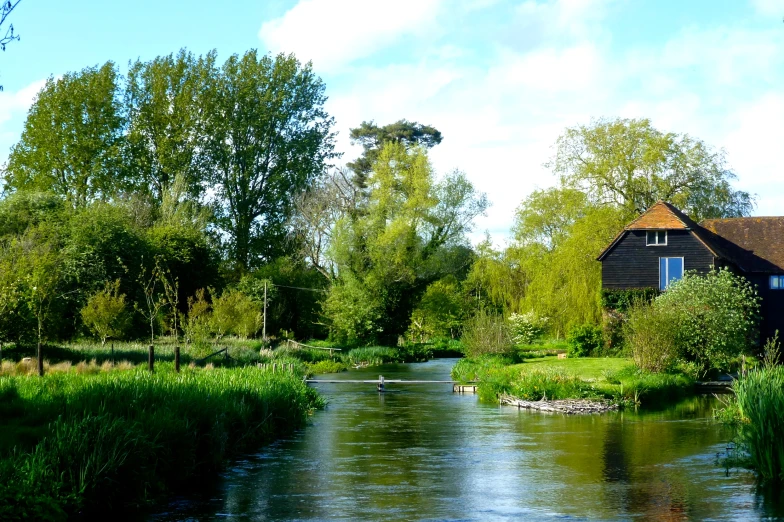 an image of a beautiful river in the country