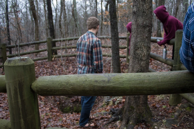 the people stand near the fence in the woods