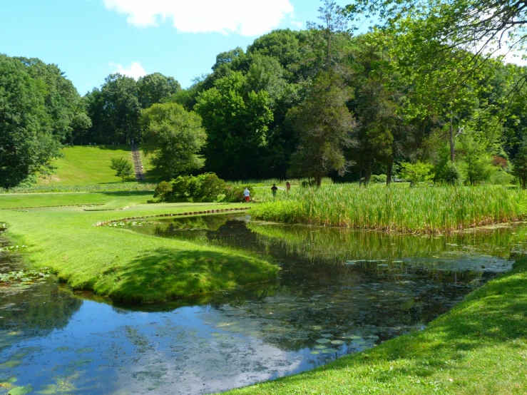 a pond in a field with a grassy field