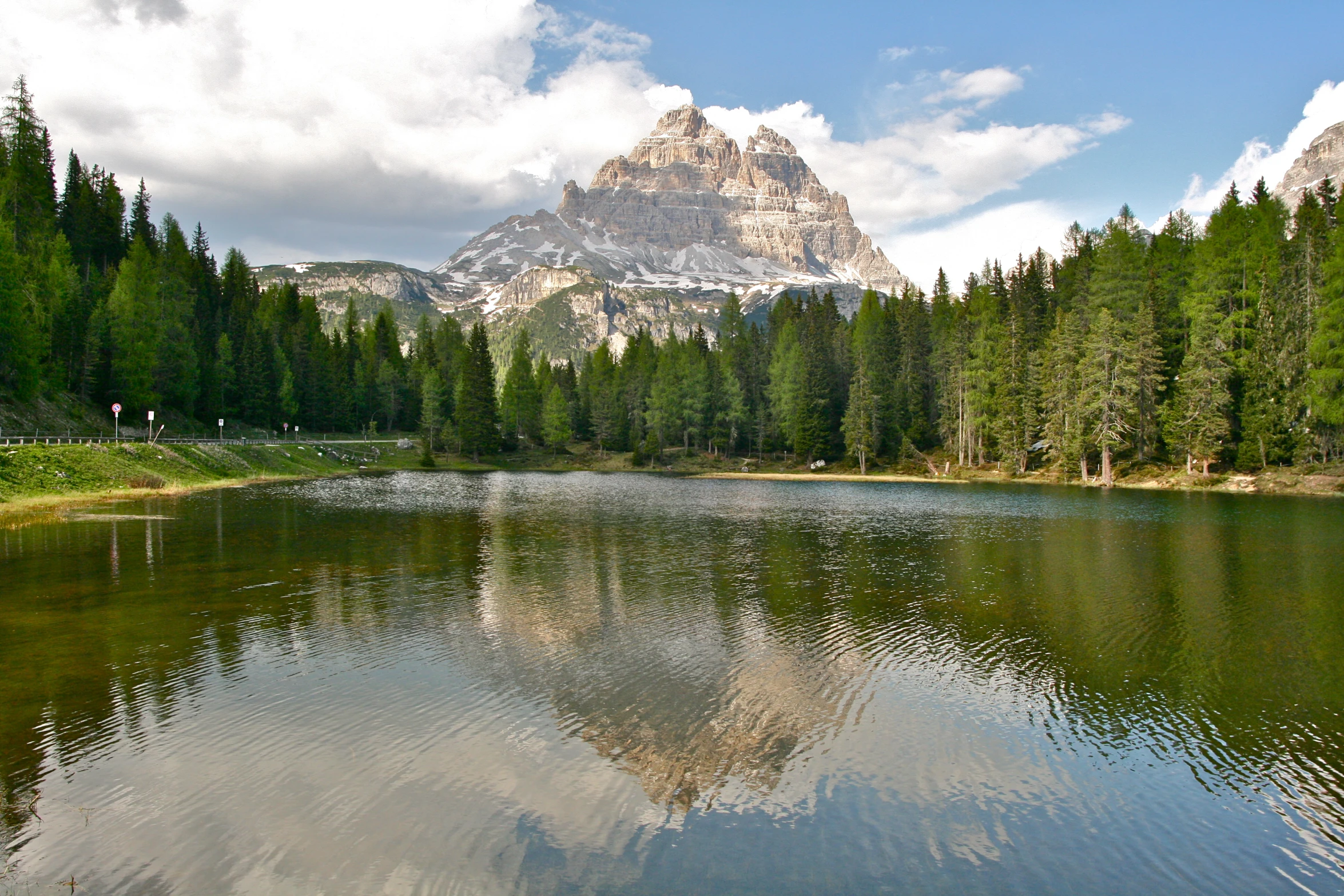 a small lake surrounded by green trees