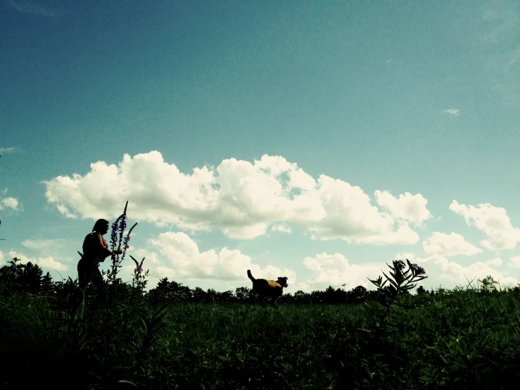 a man stands in the grassy with his kite