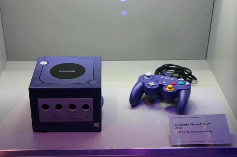 two controllers are displayed on display in the case