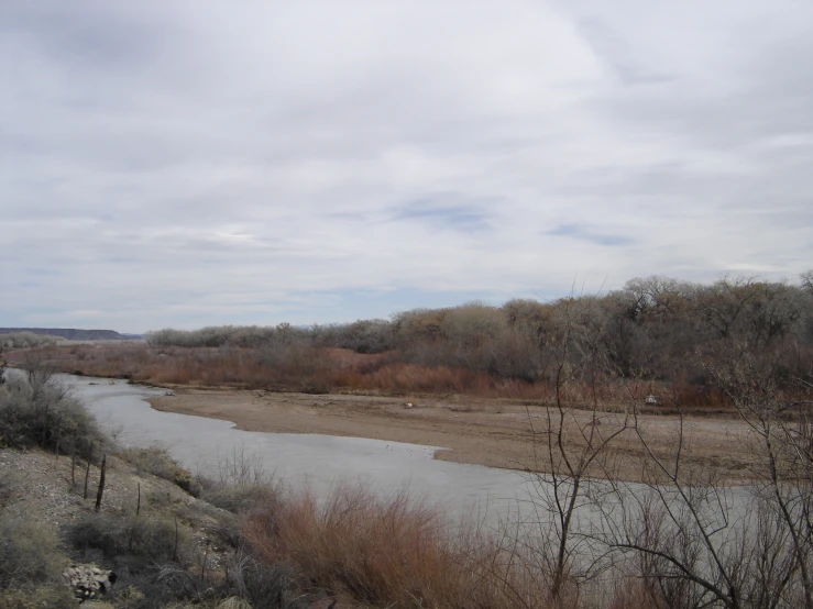 a river running next to tall trees and land