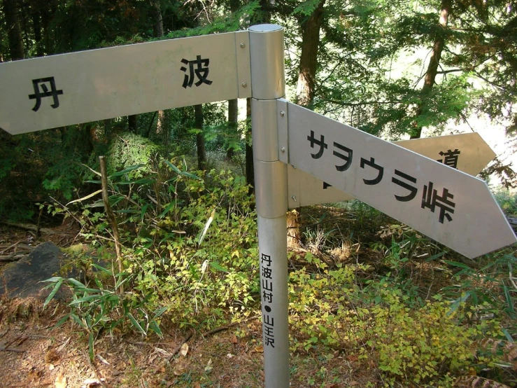 an intersection with signs in three languages on a post