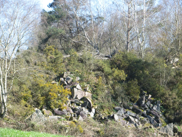 trees are visible above a rock mountain with rocks in it