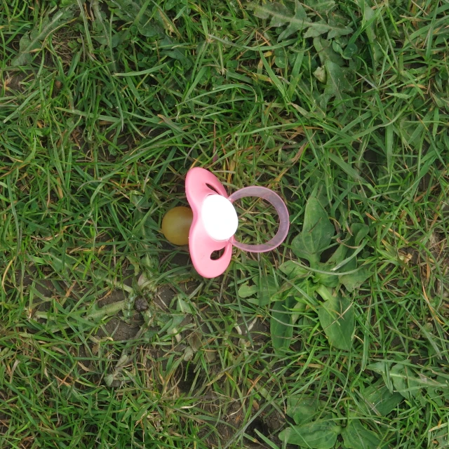 a close up of a pair of pink baby's pacifiers on the grass