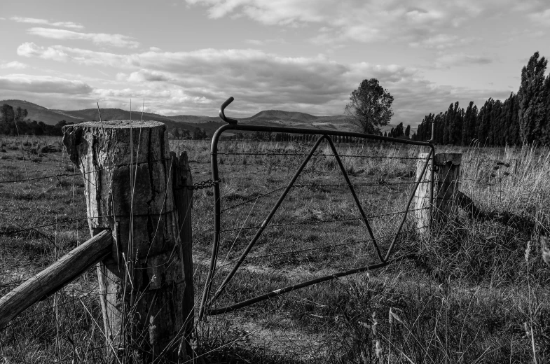 a black and white po of a wood gate in the grass