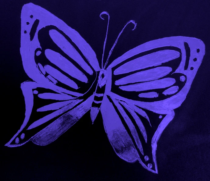 a close up of a blue erfly on a black background