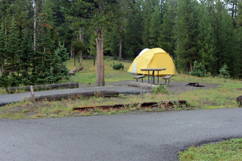 a large yellow tent set up outside in the forest