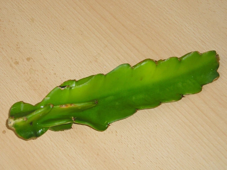 the green plant has been wilted on a wooden surface