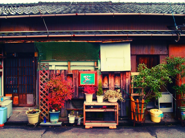 many plants outside of a house with pots