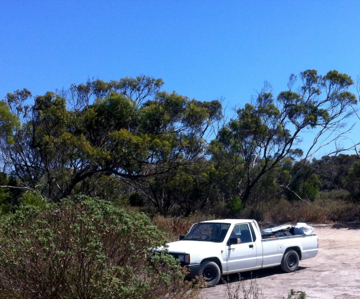 a white pickup truck parked in a field next to trees