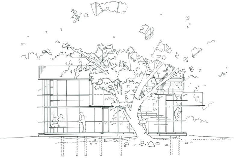 an architectural drawing of a tree in a building