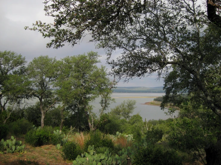 there are trees and water along the road