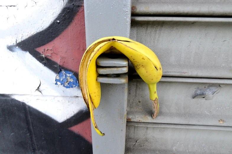 a banana is stuck inside of a pole