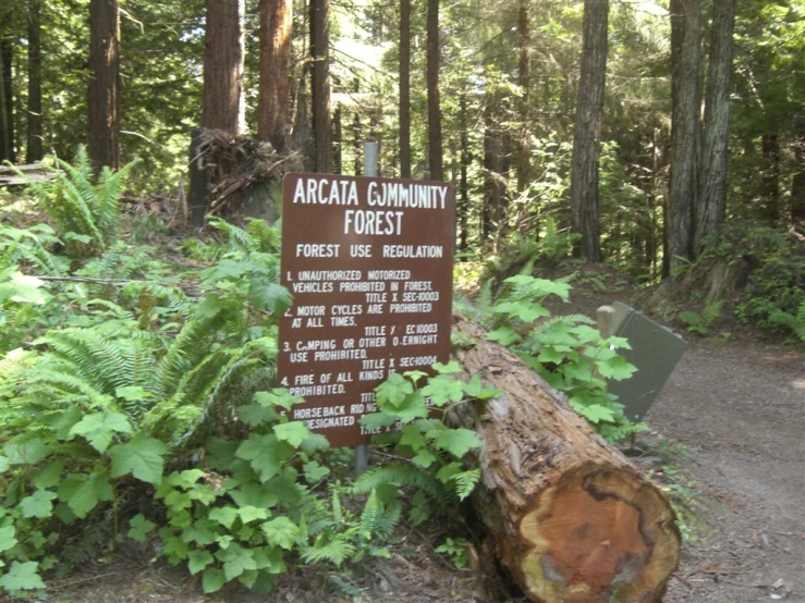 a sign is posted in the forest near a tree