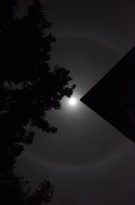 moon peeking out behind a dark sky over some trees