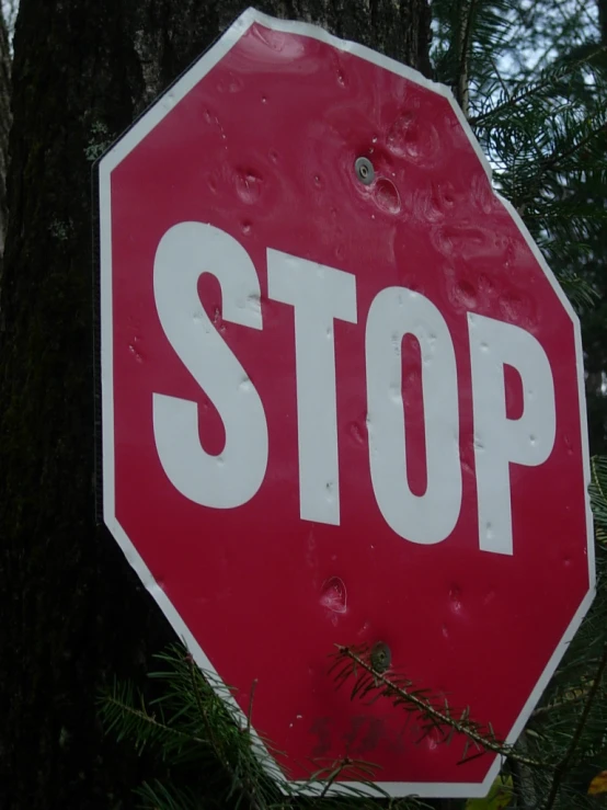 a stop sign that is close to some trees