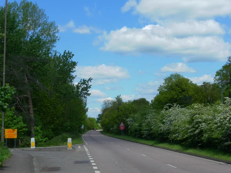 this street is lined with trees and grass