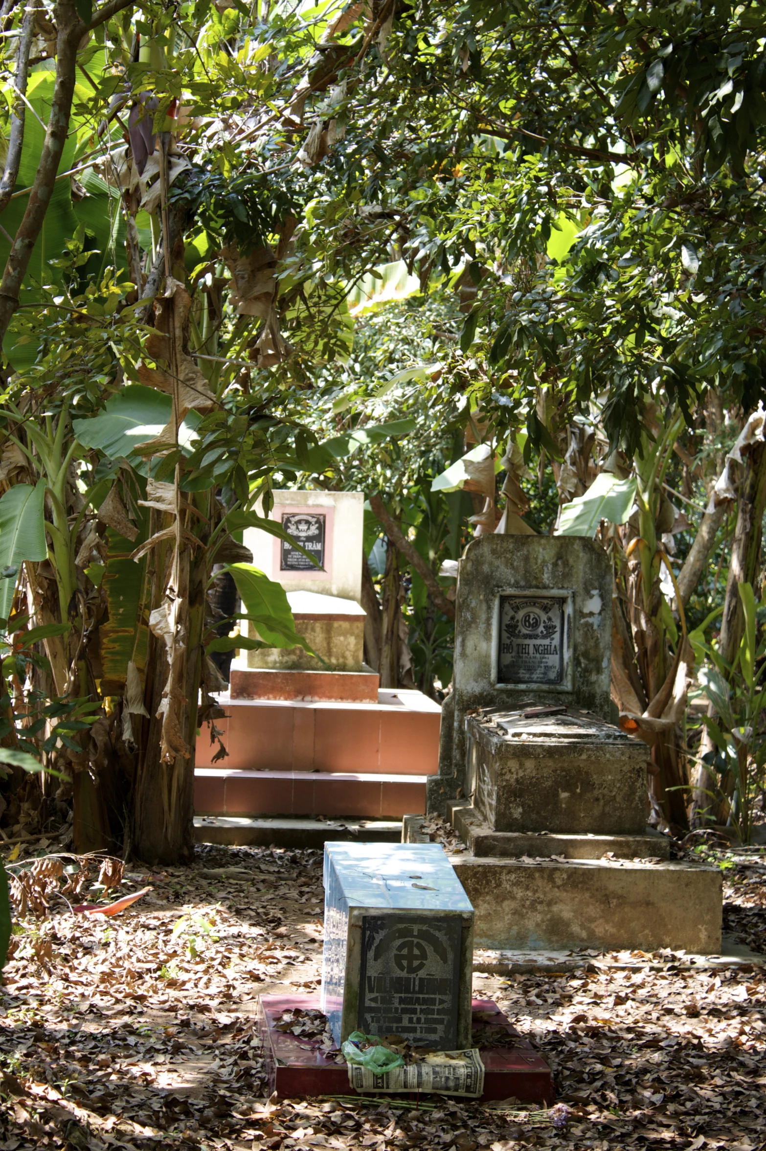 a row of monument in the woods with trees