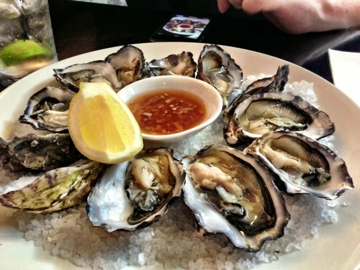 a white plate topped with oysters next to some sauce