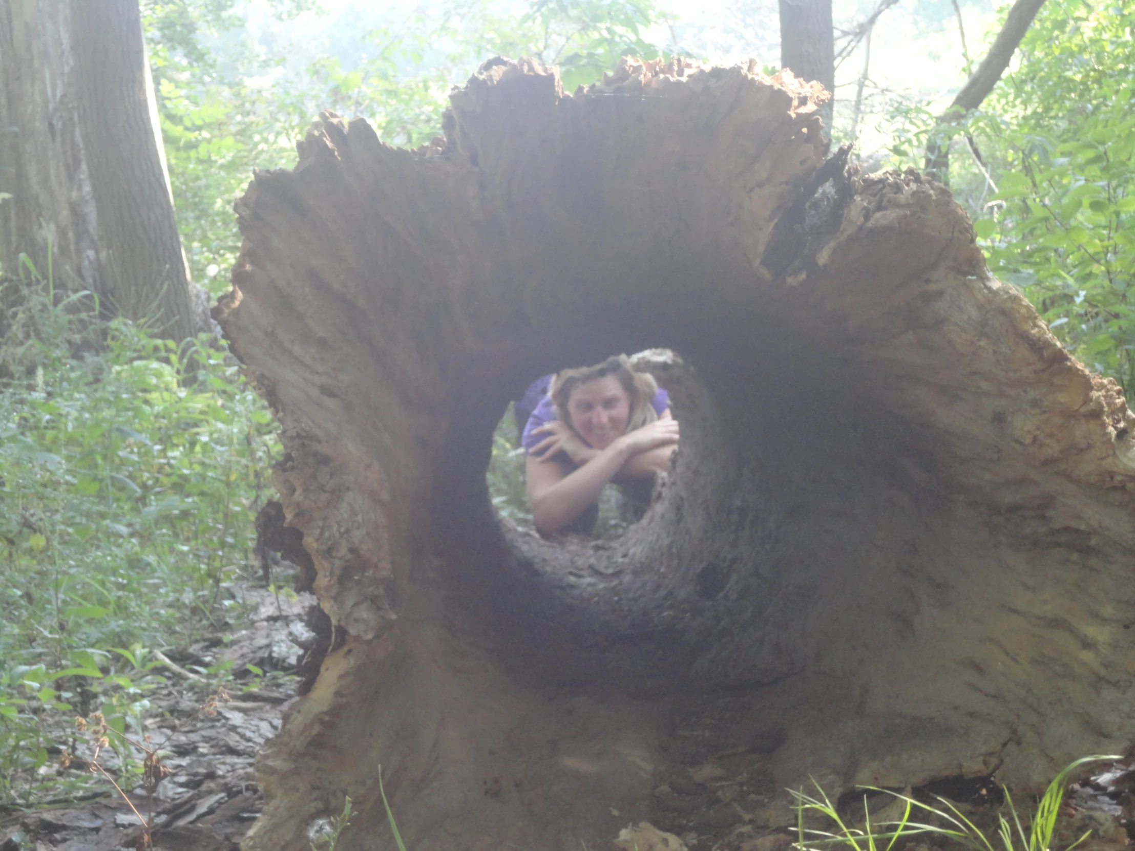 the woman is taking a picture from the hole in the tree