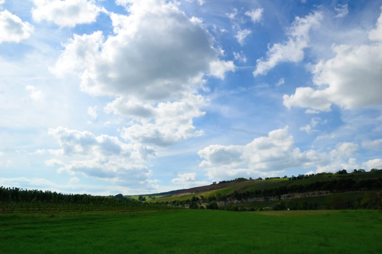 the sky and clouds above the trees can be seen