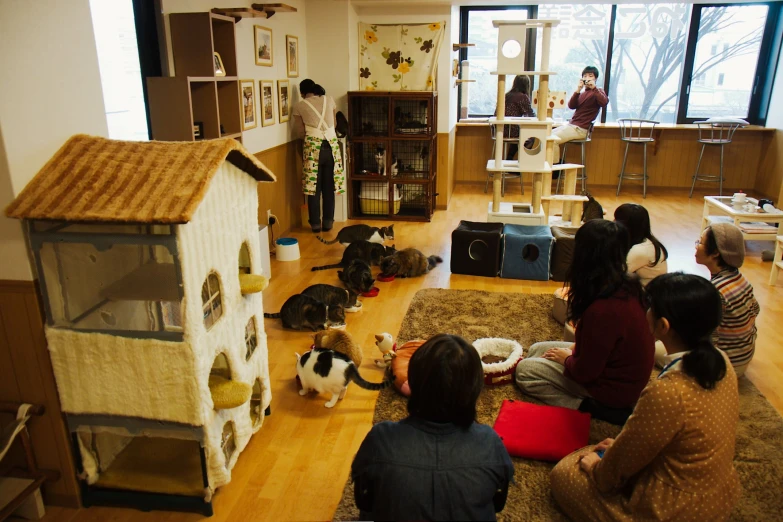 several children watching cats play on a hardwood floor