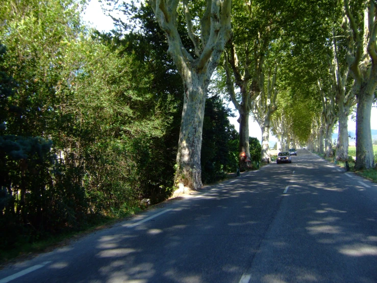 an empty street lined with trees with cars parked in the distance