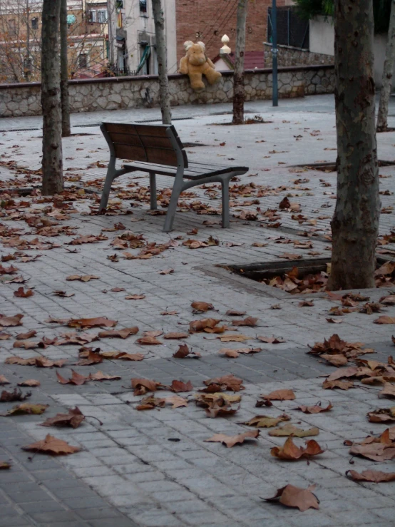 an empty park bench with autumn leaves around it