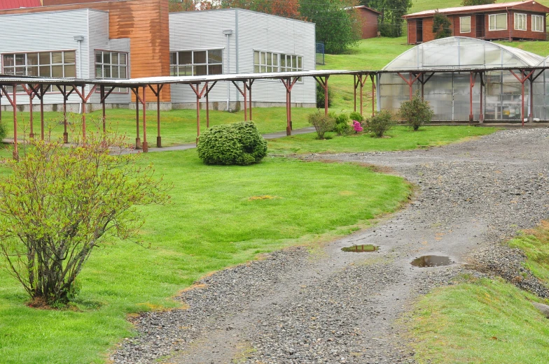 a gravel driveway near some building with trees