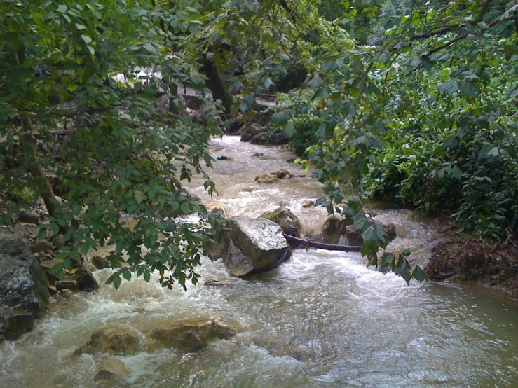 the water has white rocks in it surrounded by trees