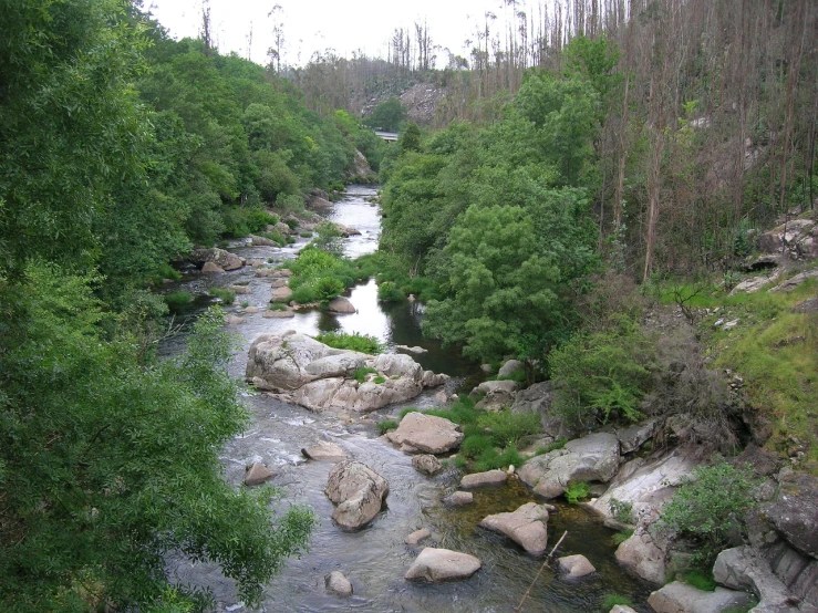 a small river surrounded by many rocks