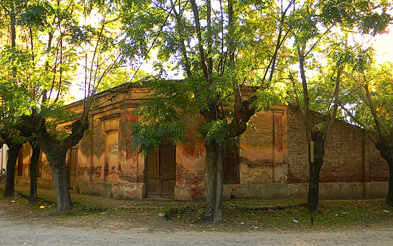 old building and trees in an alley between two streets