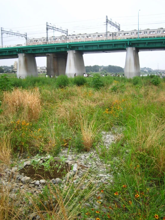 a view of a bridge over some water