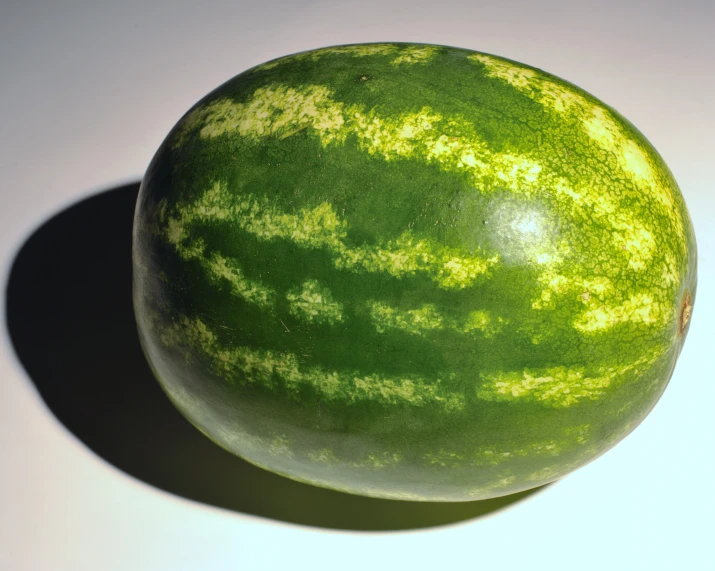 a large watermelon in front of a white background