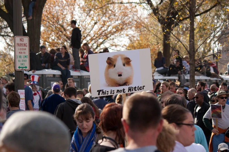 a crowd of people walking down the street during a demonstration