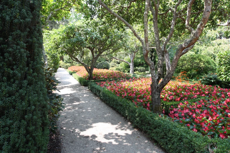 a pathway surrounded by flowers and hedges in the middle