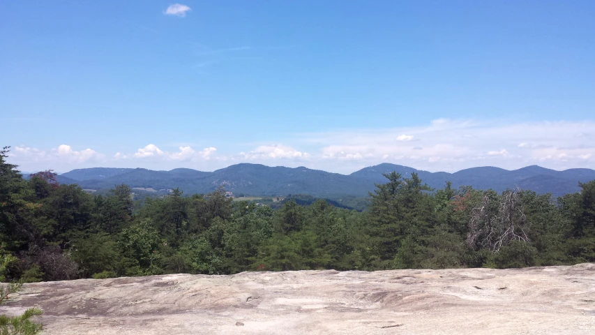 a view over a forested valley and mountains from atop a hill