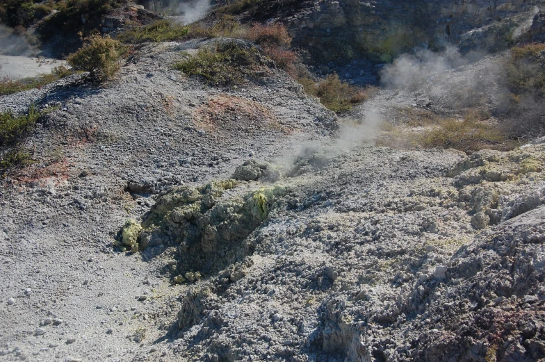 some rocks and shrubs with some steam coming from them