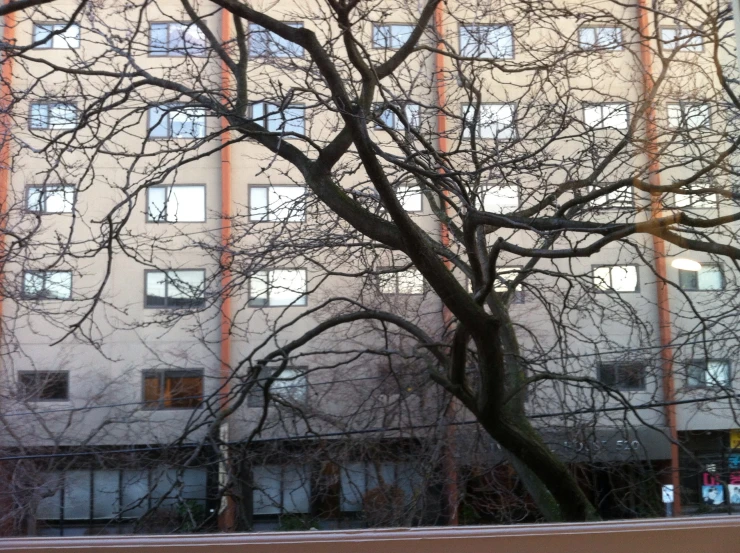 two tall buildings with windows behind a fence