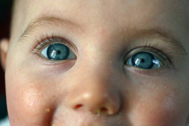 a close up s of a baby with a  dog in it's mouth