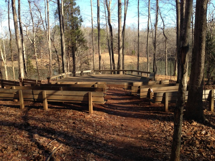 rows of benches in the forest with trees surrounding them