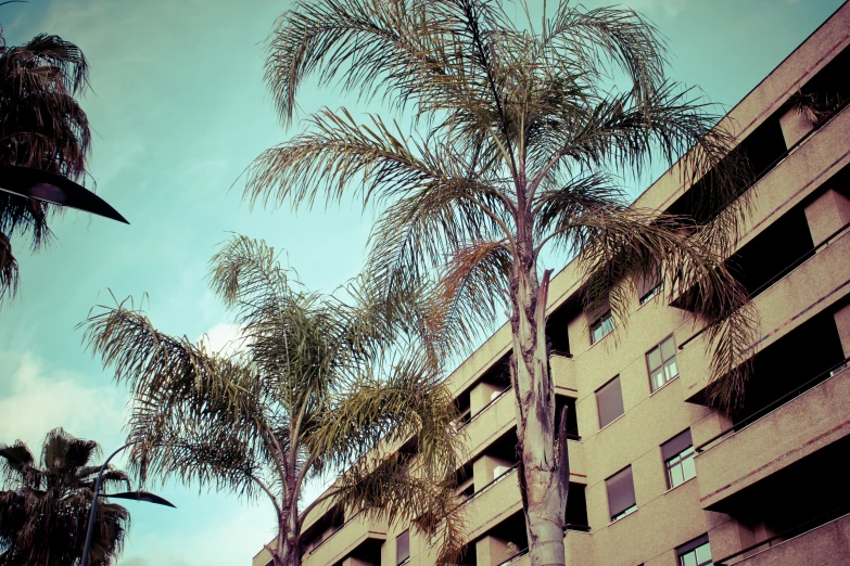 a building next to two palm trees with the top of a tall building in the background
