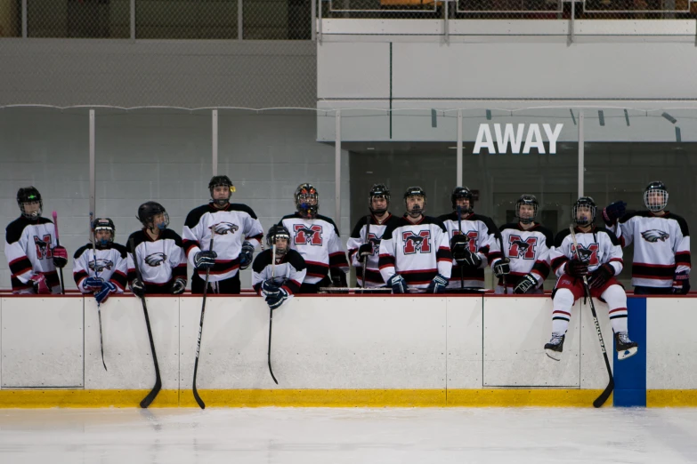 a group of people wearing hockey uniforms in a row