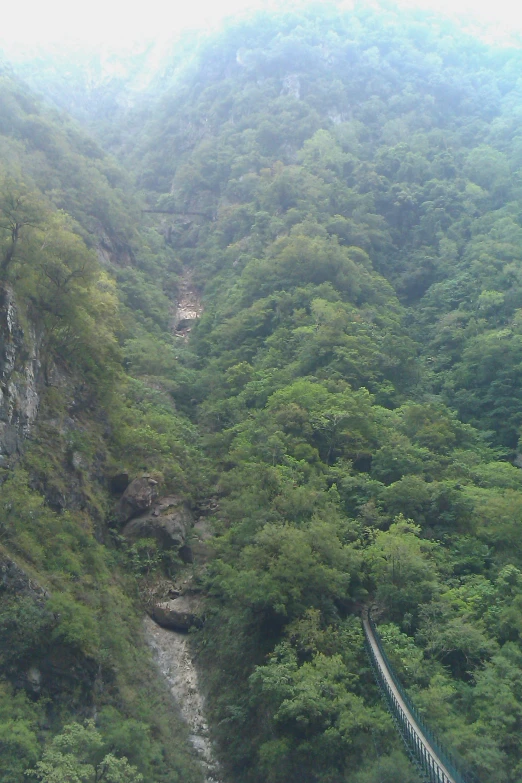 a narrow suspension bridge in the middle of the green jungle