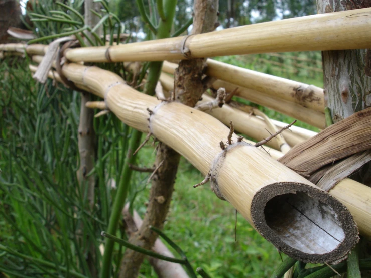 a pile of cut up bamboo pipes in a yard