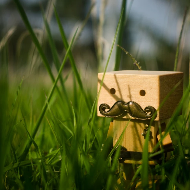 a wooden handlebar with a moustache on it sitting in the grass